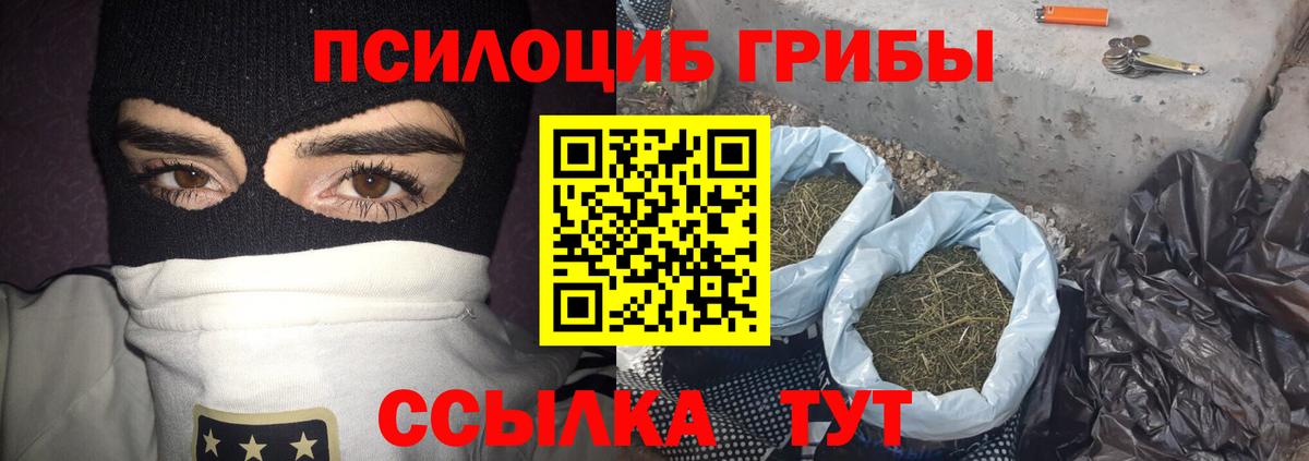 Псилоцибиновые грибы прущие грибы  Вход с VPN  купить   Избербаш 